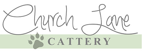 A friendly home for your cats, Cattery, Holton-le-Clay